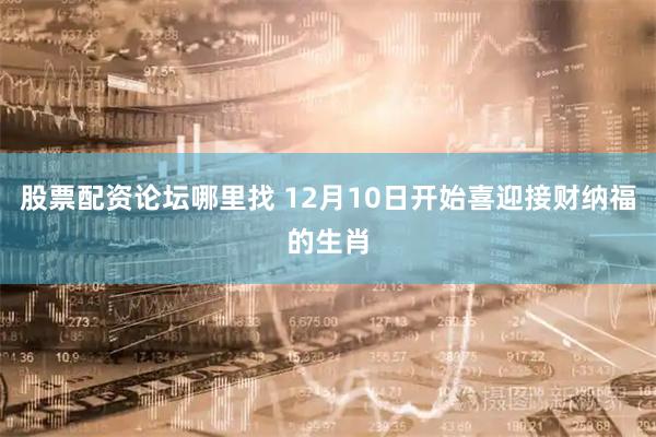股票配資論壇哪里找 12月10日開始喜迎接財(cái)納福的生肖